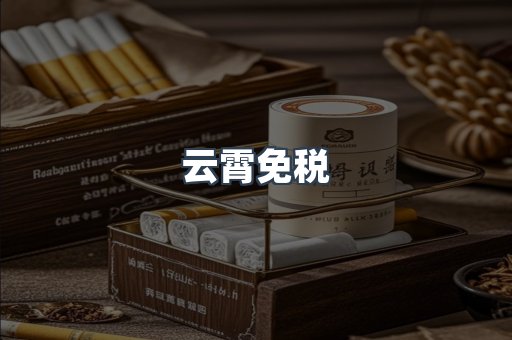 云霄免税